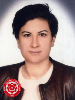 HANDAN DEREBAŞINLIOĞLU